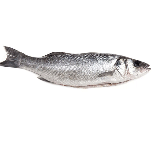 Poisson bane en gros